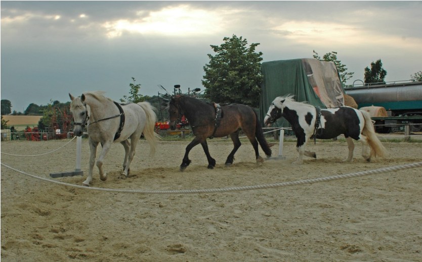 Klassische Circusarbeit