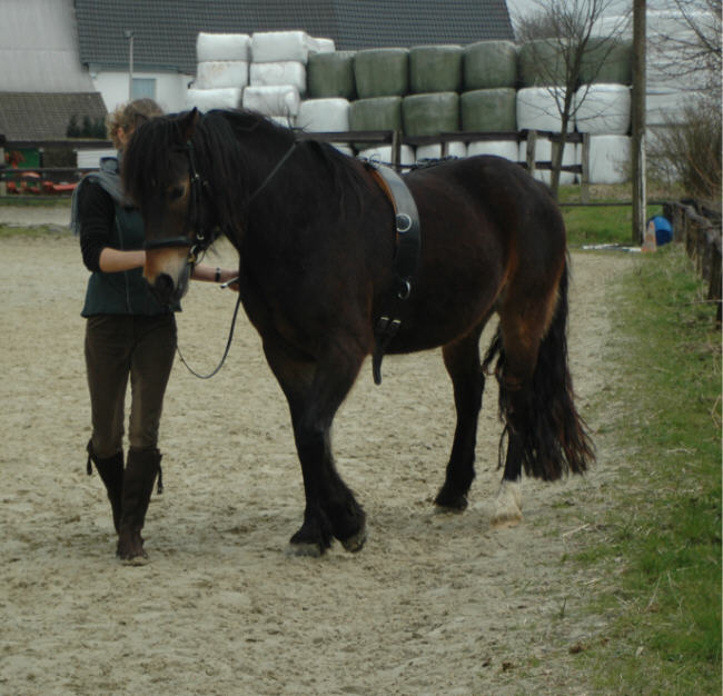 Vom Schulterherein zum Renvers