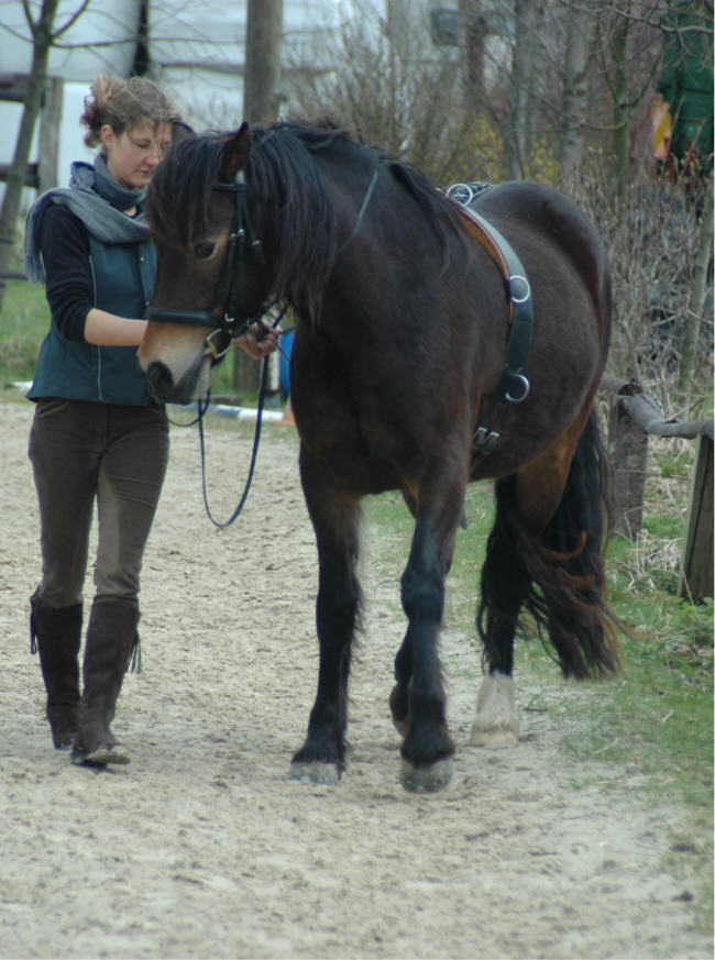 Im Schulterherein in die Dehnungshaltung